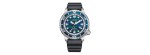 Orologio Citizen Diver's Structural Dial Lim.Ed. [8e98ffa6]