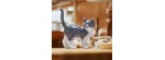 Figurina Annuale 2026 Gatto 15,5 cm [f265d035]