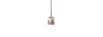 Campana anno 2026 Annual Christmas Edition [732bf587]